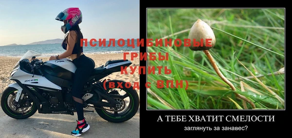 стафф Балабаново
