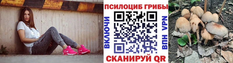 как найти закладки  Дегтярск  Галлюциногенные грибы ЛСД 