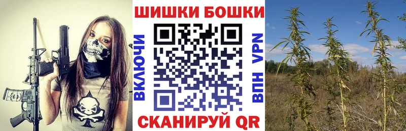 Бошки Шишки THC 21% Дегтярск